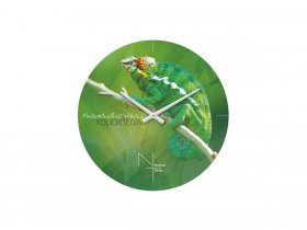 Часы настенные Nicole Time NT503 в Ярково - yarkovo.mebel-nsk.ru | фото